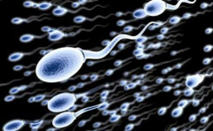 探索男性不孕不育症的多种可能原因：全面了解影响生育能力的各种因素