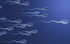 男性精子活力低下的多方面原因分析：全面了解影响精子质量的潜在因