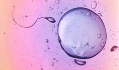 如何增加男性y精子数量？这些方法效果好！
