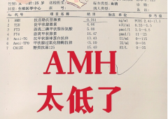 AMH值低做试管要注意哪些事情？成功率多少？