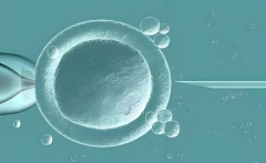 2025广东番禺做一次试管需要多少钱？一般需要做几次才能成功！