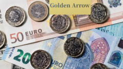 福州试管全包多少钱？2025福州试管全包费用及省钱攻略！