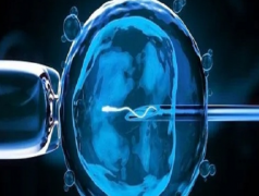 2025北京试管包男孩成功：医院排名与费用指南