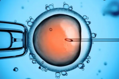 2025年试管费用大揭秘：包生'男'孩的医院收费标准