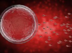 2025试管资讯，国内三代试管费用明细！