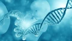 试管婴儿成功怀孕，哪些关键因素起着决定性作用？全面解析与备孕指南