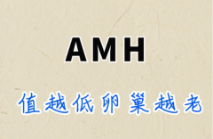 amh和试管婴儿成功率关系大，但怀孕还受这些因素影响！