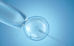 上海可以做借卵试管吗？2025年借卵试管最新报价揭晓！