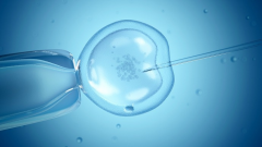 人工授精全过程需要多少费用？全面解析费用构成与预算规划