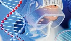 单角子宫做试管，成功率究竟几何？