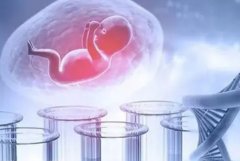 卵巢早衰供卵成功秘籍：她们是如何实现生育梦想的？