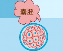 三代试管养囊失为什么失败？很可能是这几个原因导致！