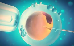 二代试管费用解析，附送省钱小妙招分享！