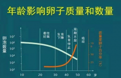女性年龄对试管婴儿有什么影响？盘点不同年龄段成功率！