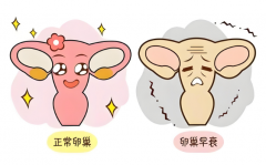 女性卵巢早衰想生宝宝？做几代试管成功率比较高？