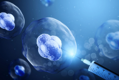 上海单身女性做三代试管推荐医院：全面解析最优选择