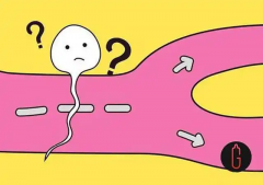 男性不育由哪些原因引起？如何治疗男性不育？