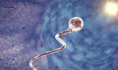 男性精子活力低：背后的真相竟如此复杂！