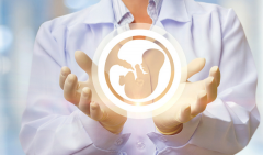 2025上海试管医院推荐：权威排名与费用成功率详解