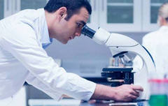 成都华西附二院试管价格指南：2025年最新费用与服务解析