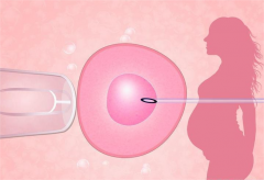 三代试管PGS技术，费用究竟需要多少？全面解析与了解