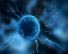 结扎之后如何成功实现人工受孕？全面解析方法与步骤