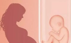 揭秘！吉林省延边妇幼保健院试管费用全攻略，性价比超乎想象！