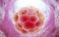 卵泡萎缩：揭秘其对女性生育及健康的严重后果！