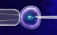 岳阳做试管包成功价格一般多少？预备金二十万够花了吗？