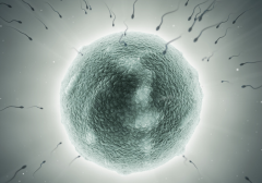 探寻山西医科大学第一医院试管成功率：详细了解该医院试管技术成功
