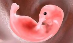 子宫腺肌症患者做试管婴儿：全面解析流程与注意事项！