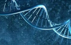 试管前为何要进行染色体检查？全面解析其重要性！