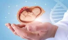 全面解析：如何有效改善人工周期的内膜形态以提升试管婴儿成功率