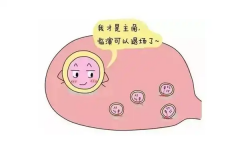 女性卵泡小怎么办？怎么才能更容易怀孕？