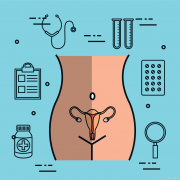 单角子宫女性进行试管囊胚移植，其成功率究竟有多高：全面解析与生育挑战探讨