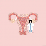 宫颈口粘连情况下，女性怀孕的成功率高不高：生育能力与治疗影响的深入探讨
