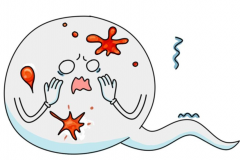 男性出现血精是怎么回事？哪些原因引发血精？