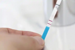 成功怀孕后白带有变化，另外还有这些早孕症状！