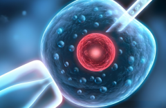 2025年供卵绿色通道无需排队！国内供卵试管医院精选名单一览！