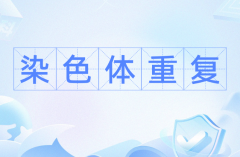 盘点2号染色体重复危害，导致孩子出现四大问题！