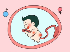 怀孕时怎么判断胎儿性别？几种常见方法盘点！