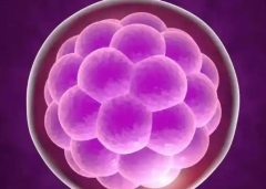 供卵试管费用详解，首次和二次费用都有！