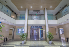 浙江省妇保医院试管成功率解析，想一次成功建议这么做！