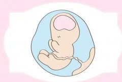 解冻胚胎升级：揭秘背后的科学原因与希望之光！
