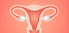 多囊女性做试管：全面攻略助你调理卵子质量！