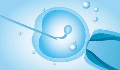 2025年成都失独家庭试管费用详解：总费用及各项目明细