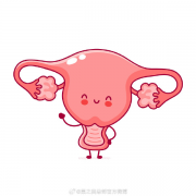 女性子宫内膜增厚背后的原因：全面解析常见因素与潜在影响