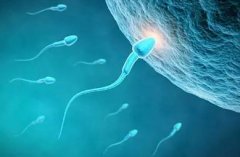男性健康关注：精子活力不足的早期信号与防治
