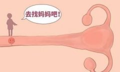 揭秘子宫内膜过薄的危害：从生育障碍到心理健康的全方位影响