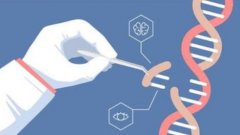 遗传因素与环境影响：探究10号染色体q26缺失的双重原因